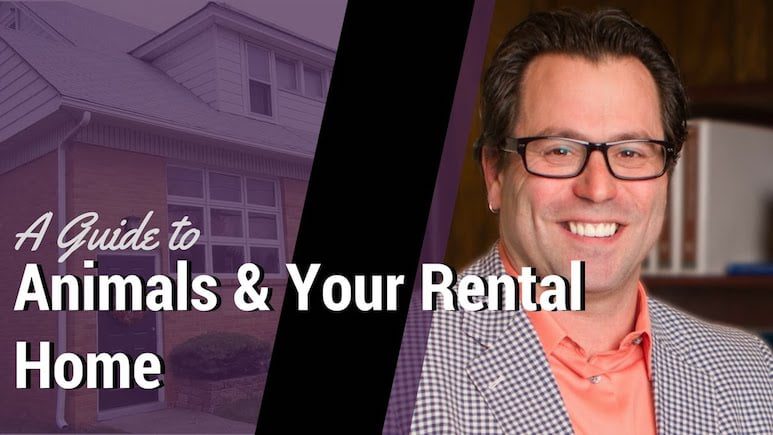 A Guide to Animals and Your Rental Home | Property Management in South Jersey