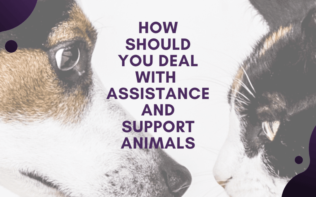 How Should You Deal With Assistance and Support Animals at Rental Properties – South Jersey Landlord Advice