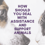 How Should You Deal With Assistance and Support Animals at Rental Properties - South Jersey Landlord Advice - Article Banner