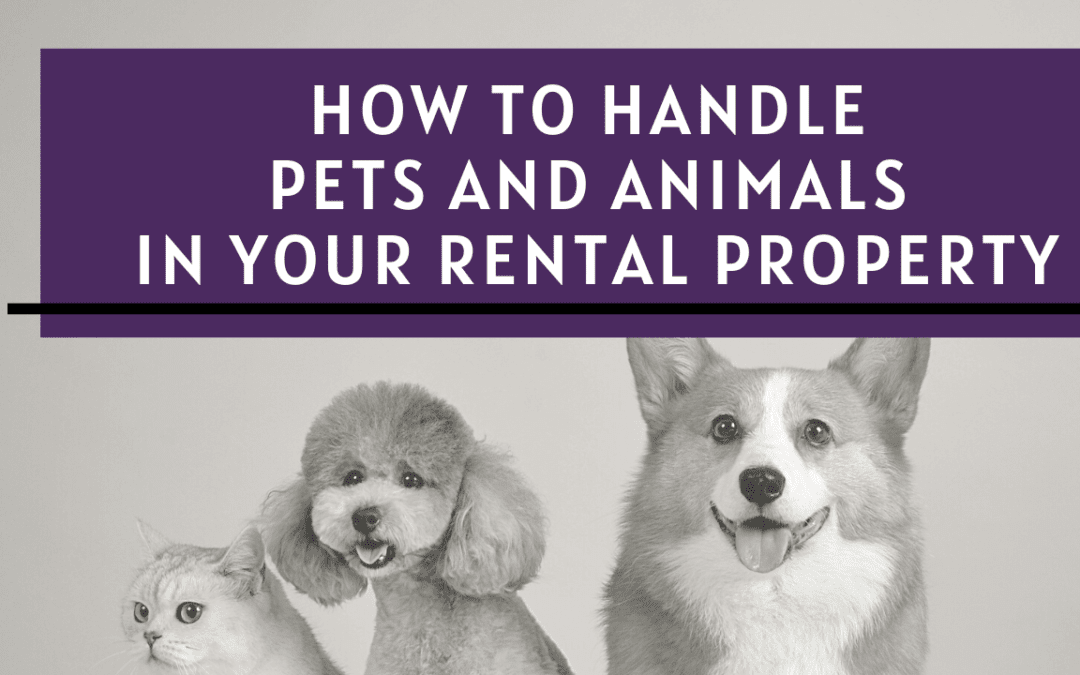 How to Handle Pets and Animals in Your South Jersey Rental Property
