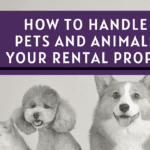 How to Handle Pets and Animals in Your South Jersey Rental Property- Article Banner