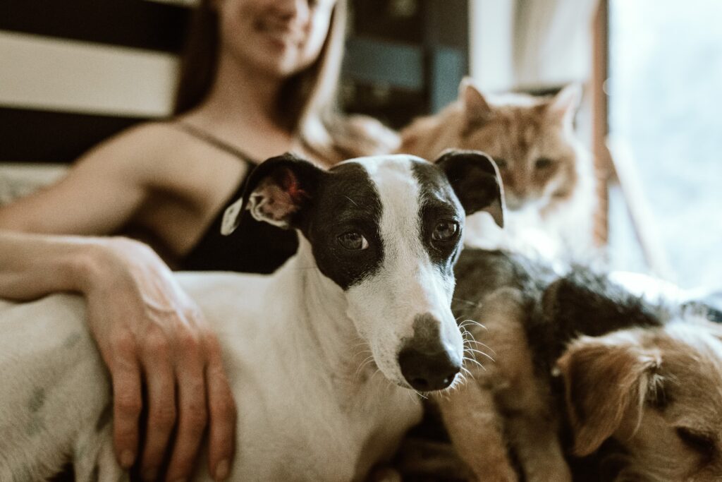 owner with her dog and cat